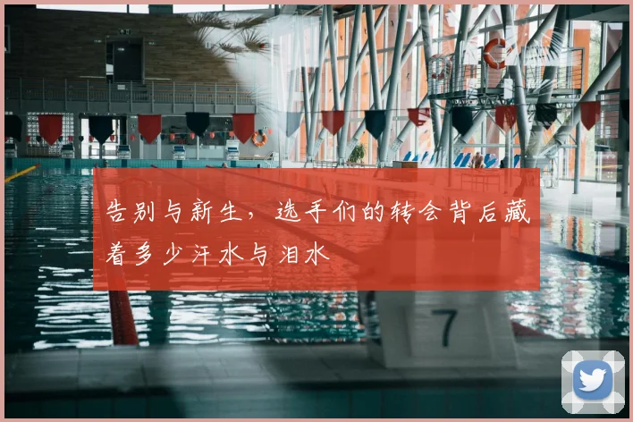 告别与新生，选手们的转会背后藏着多少汗水与泪水
