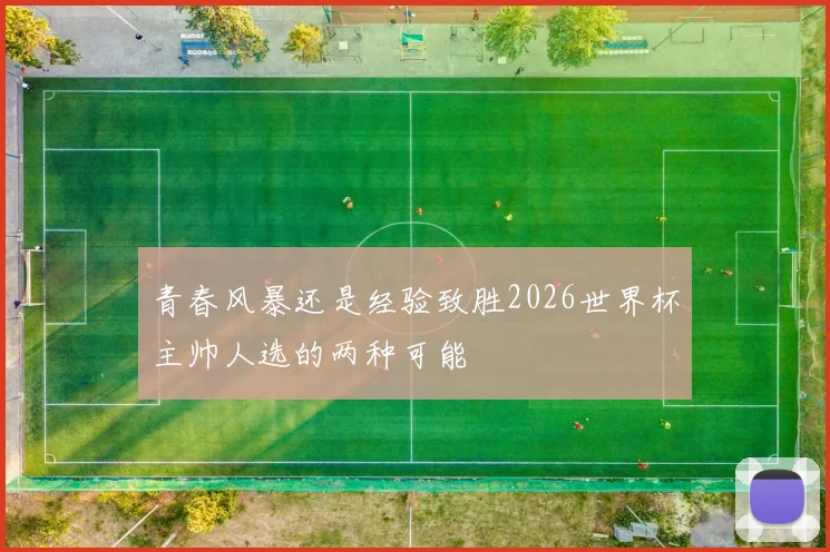 青春风暴还是经验致胜2026世界杯主帅人选的两种可能