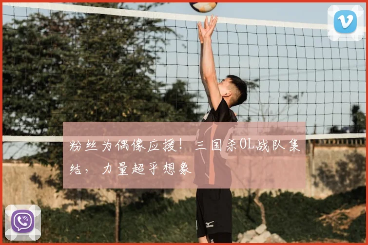 粉丝为偶像应援！三国杀OL战队集结，力量超乎想象