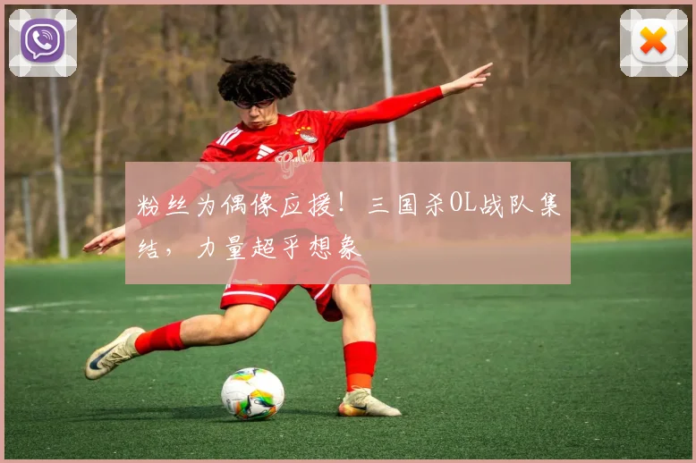 粉丝为偶像应援！三国杀OL战队集结，力量超乎想象